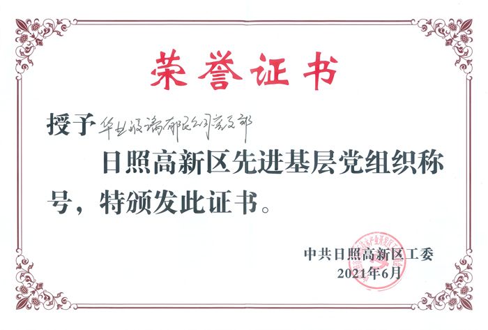 日照高新區(qū)先進基層黨組織-網(wǎng)絡